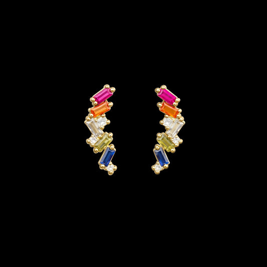 Colorful stainless steel earrings