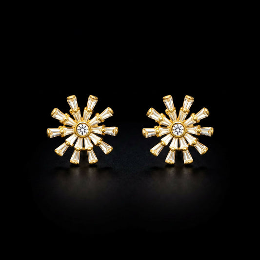 Studded stainless steel earrings