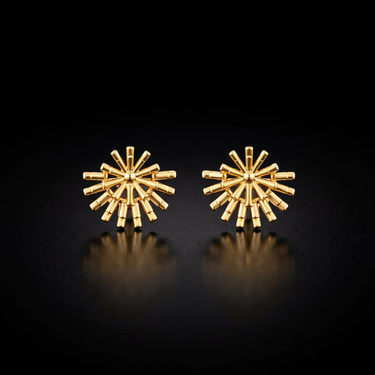 Studded earrings